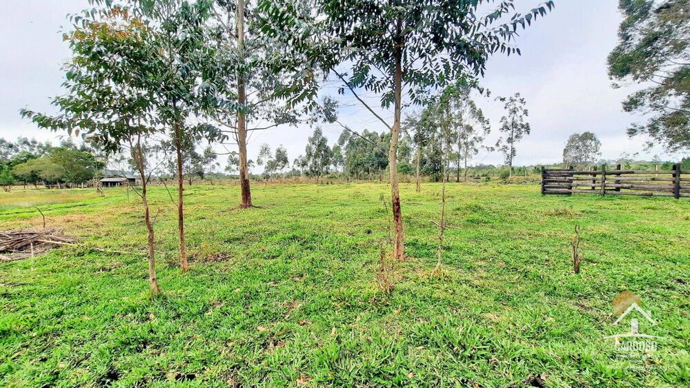 Sítio, 2 hectares - Foto 4