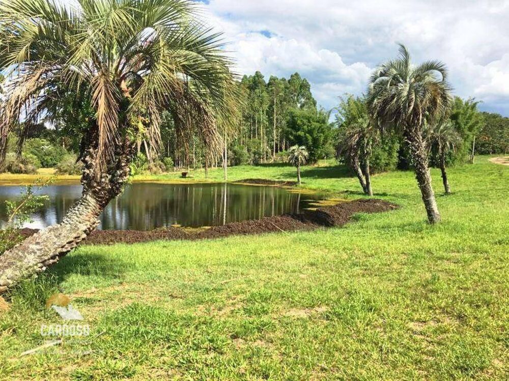 Sítio, 2 quartos, 1650 m² - Foto 17