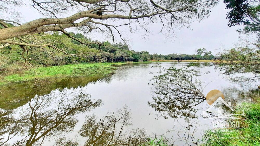 Fazenda à venda, 240000M2 - Foto 3