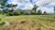 Sítio, 6 hectares - Foto 4