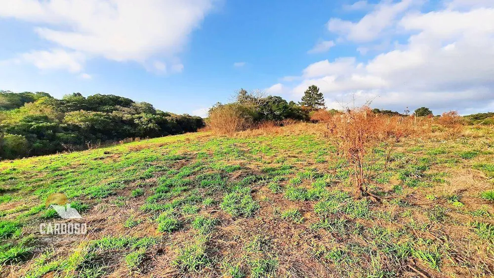 Sítio, 8 hectares - Foto 4