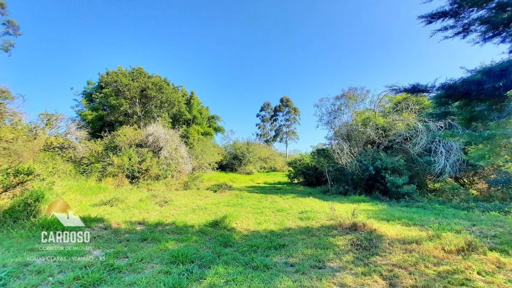 Sítio, 10 hectares - Foto 1