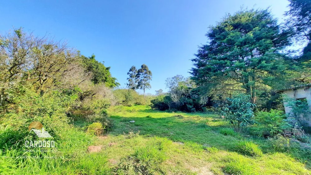 Sítio, 10 hectares - Foto 12