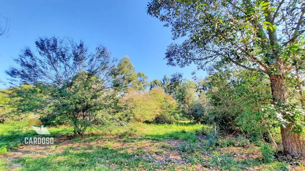 Sítio, 10 hectares - Foto 4