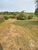 Sítio, 2 hectares - Foto 2