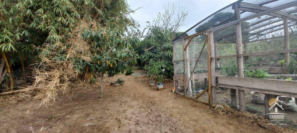 Sítio à venda com 3 quartos, 90m² - Foto 5
