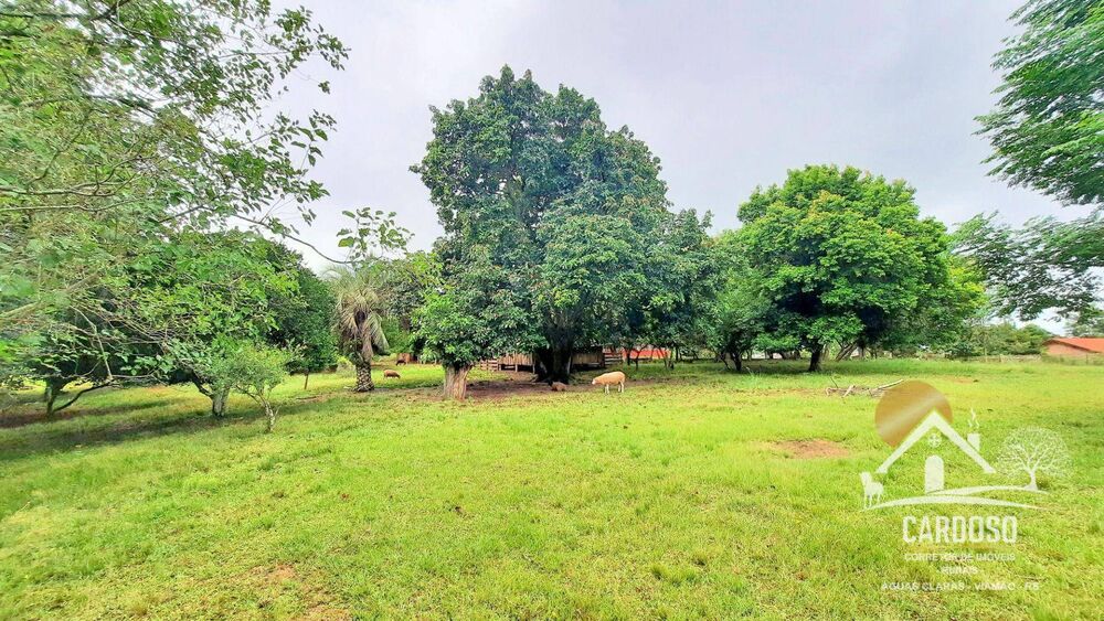 Sítio, 5 quartos, 4 hectares - Foto 12