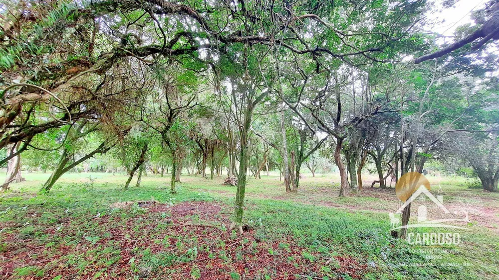 Sítio, 5 quartos, 4 hectares - Foto 4