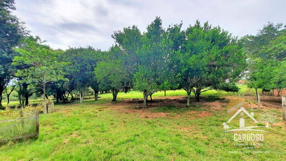 Sítio, 5 quartos, 4 hectares - Foto 13