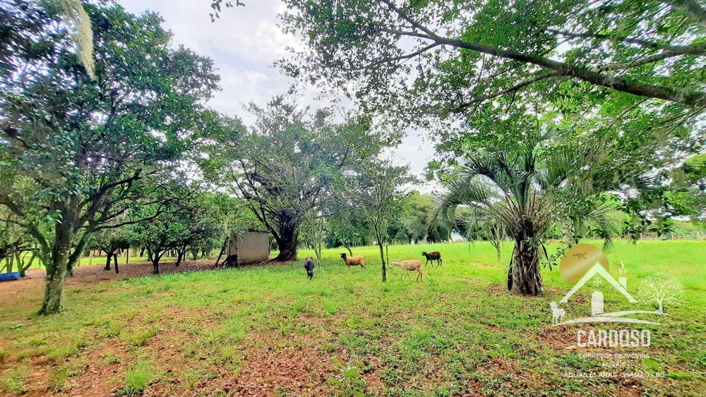 Sítio, 5 quartos, 4 hectares - Foto 2