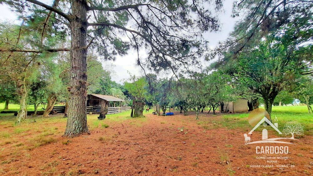 Sítio, 5 quartos, 4 hectares - Foto 16