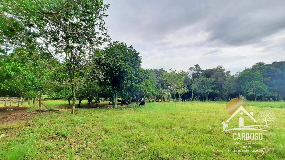 Sítio, 5 quartos, 4 hectares - Foto 3