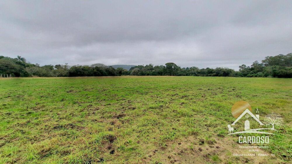 Fazenda, 27 hectares - Foto 11