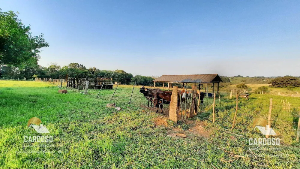 Sítio, 3 hectares - Foto 4