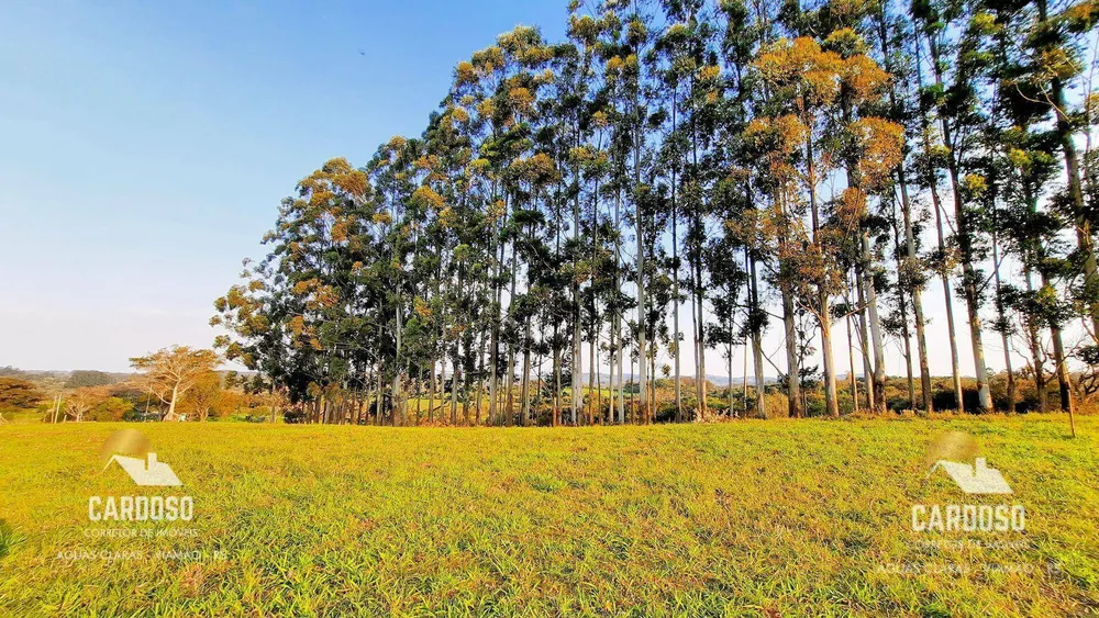 Sítio, 3 hectares - Foto 1