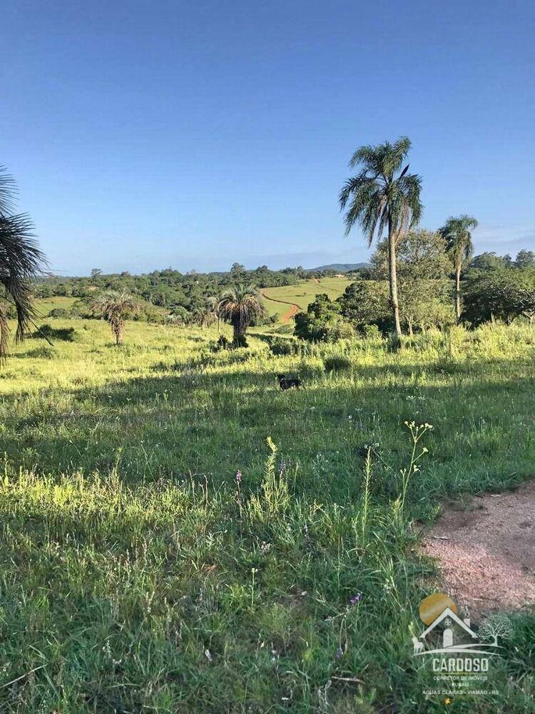Sítio, 2 quartos, 23 hectares - Foto 8