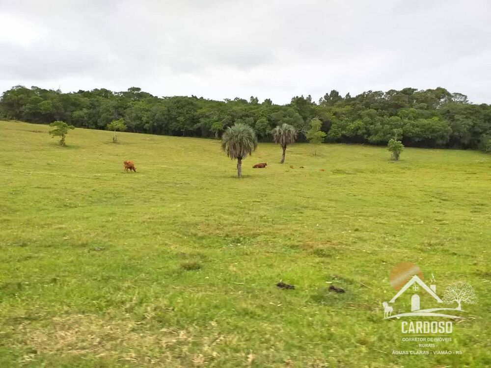 Sítio, 2 quartos, 23 hectares - Foto 9