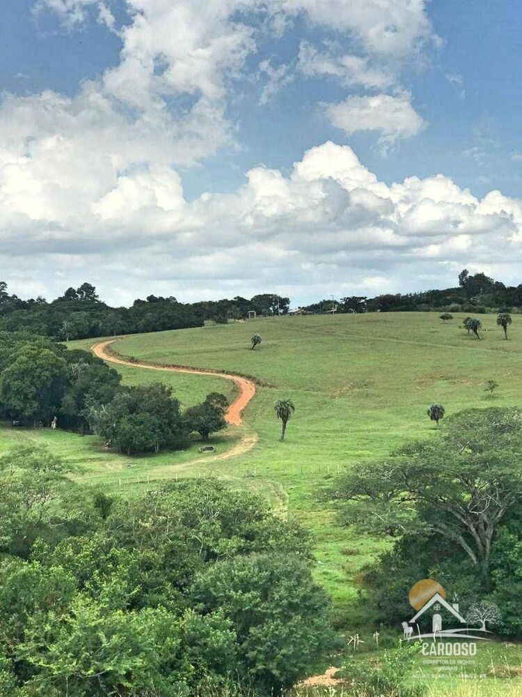 Sítio, 2 quartos, 23 hectares - Foto 6