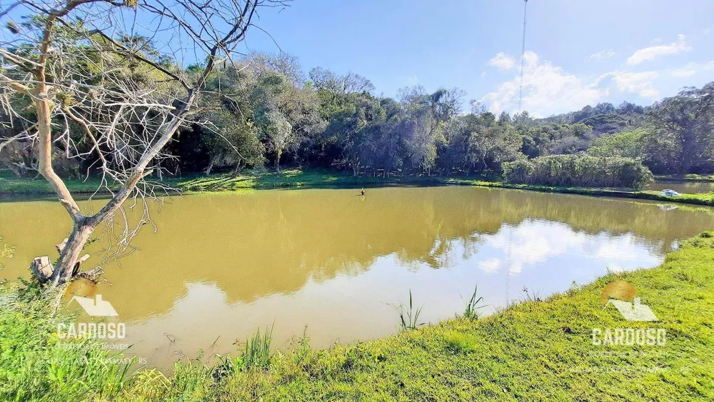 Sítio, 5 hectares - Foto 4