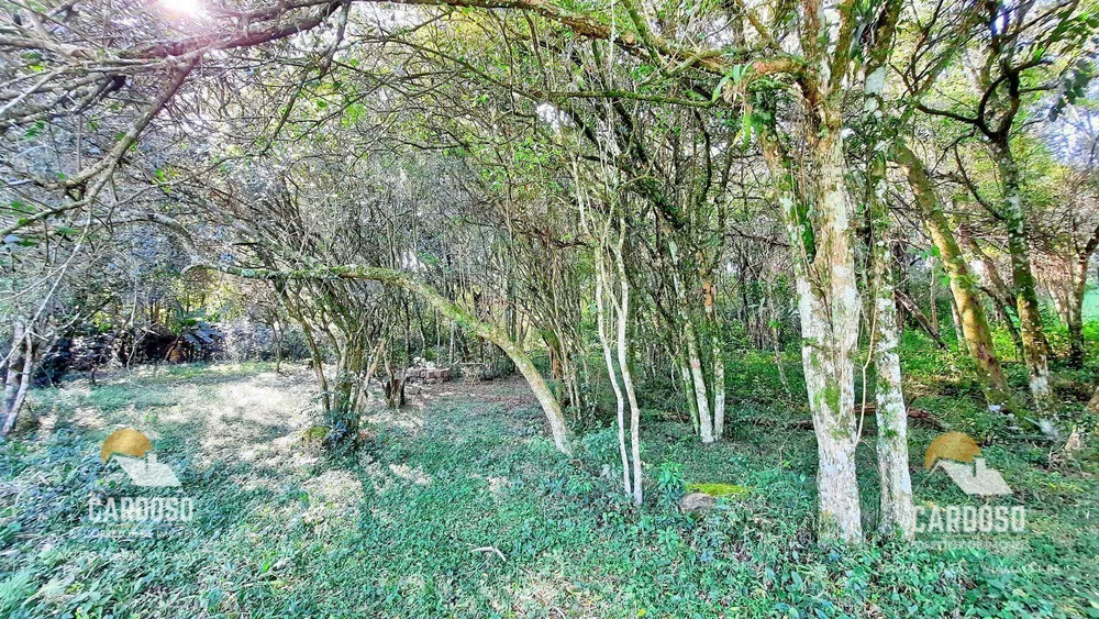 Sítio, 5 hectares - Foto 8