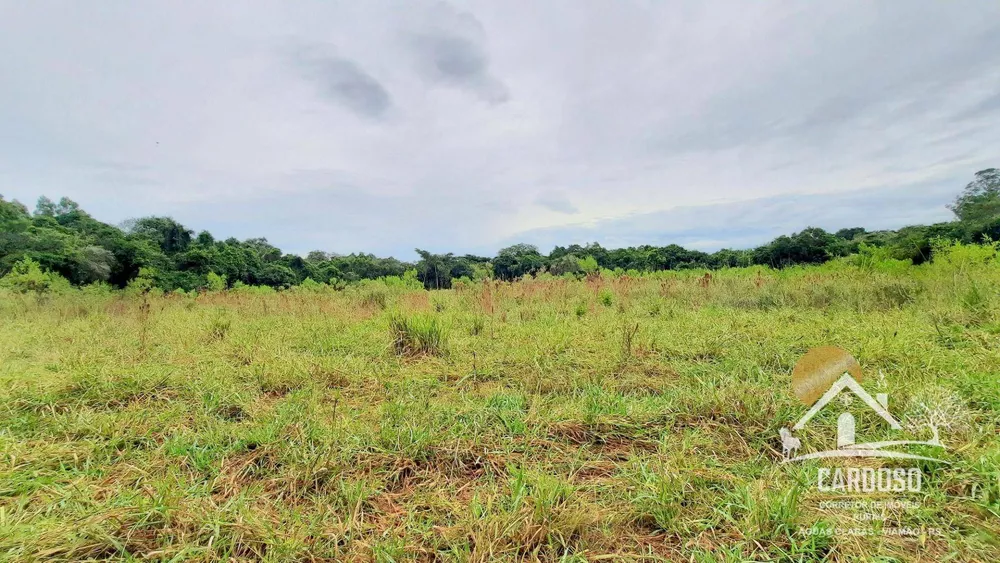 Sítio, 27 hectares - Foto 13