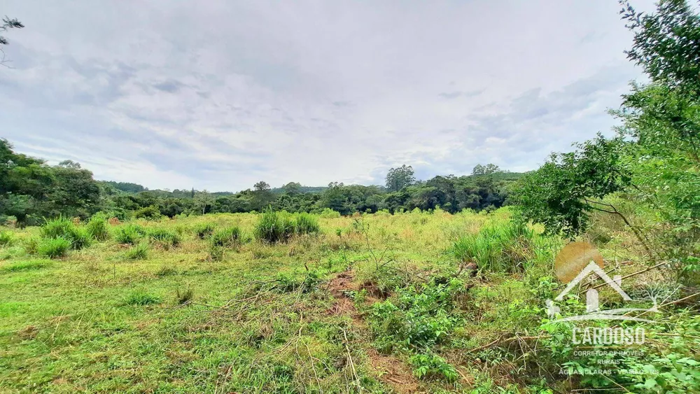 Sítio, 27 hectares - Foto 12