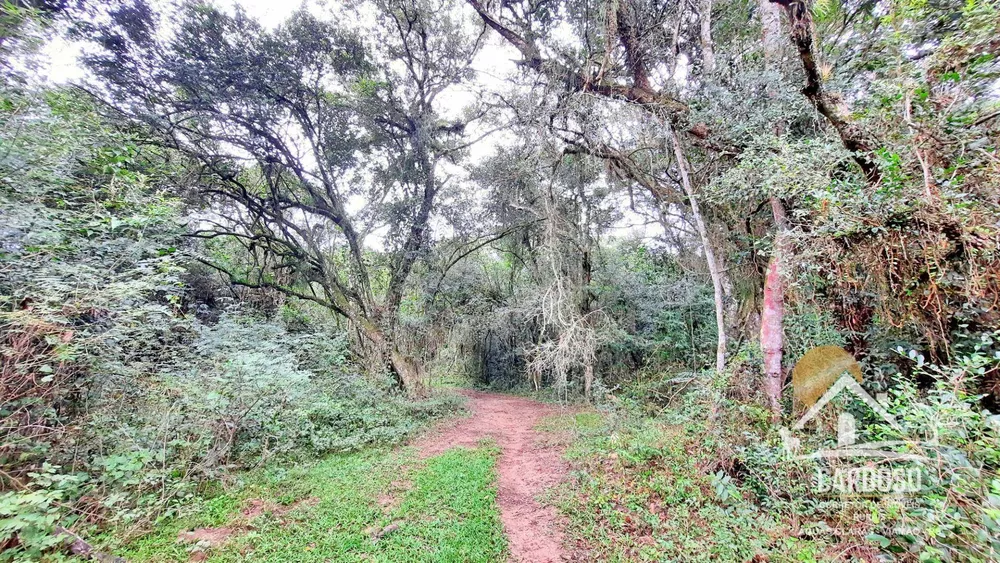 Sítio, 27 hectares - Foto 14