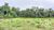Sítio, 27 hectares - Foto 4
