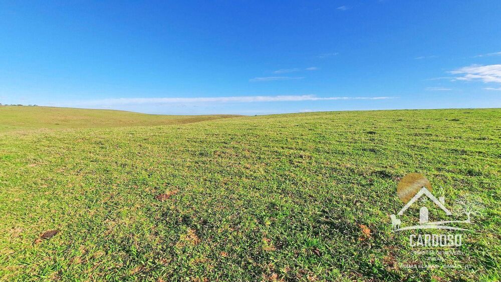 Fazenda à venda, 2620000M2 - Foto 2