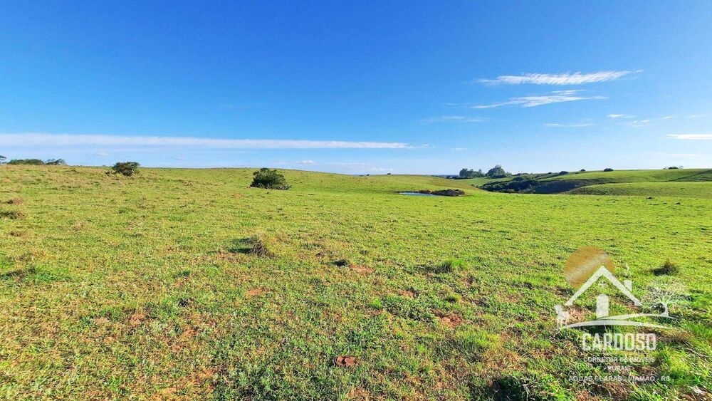 Fazenda à venda, 2620000M2 - Foto 1