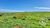 Fazenda, 262 hectares - Foto 3