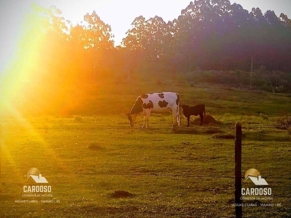 Chácara, 3 quartos, 4 hectares - Foto 3