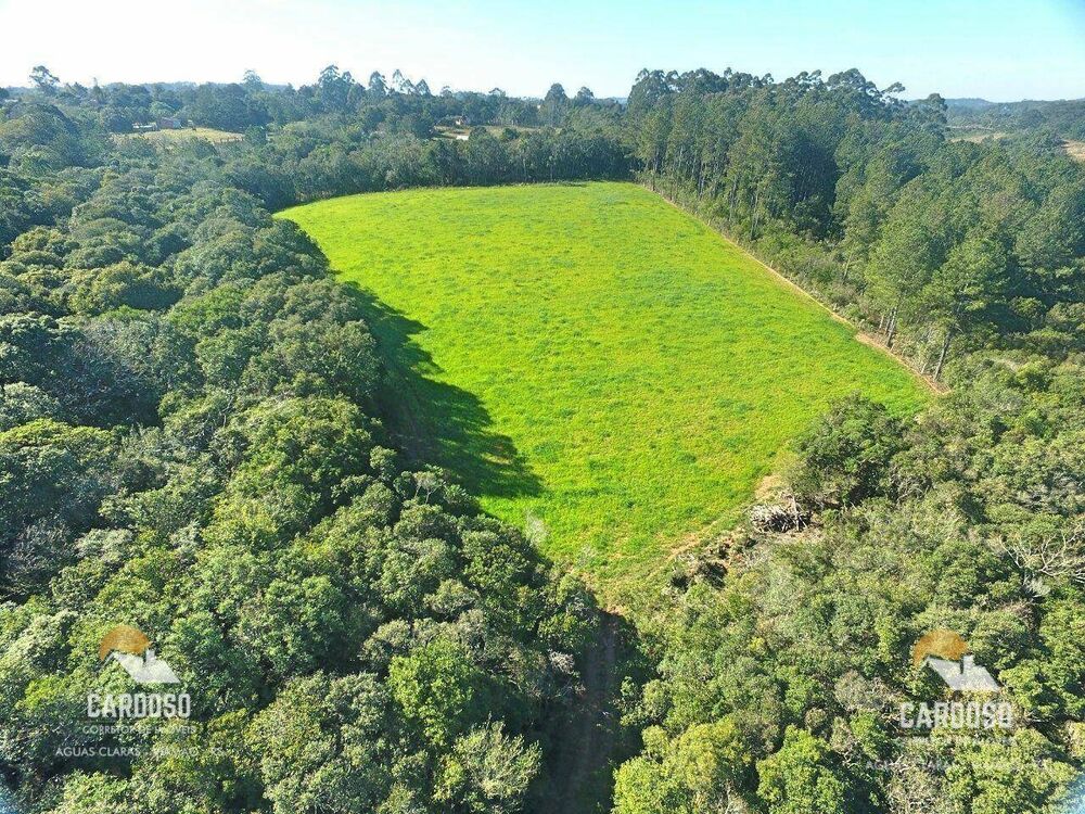Sítio, 6 hectares - Foto 1