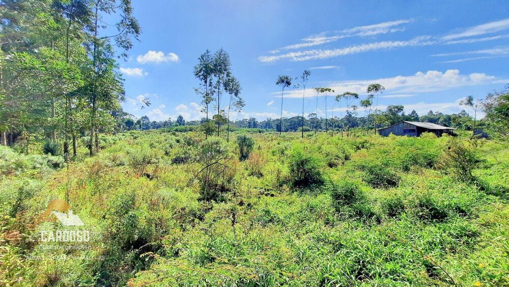 Sítio à venda, 25000M2 - Foto 8