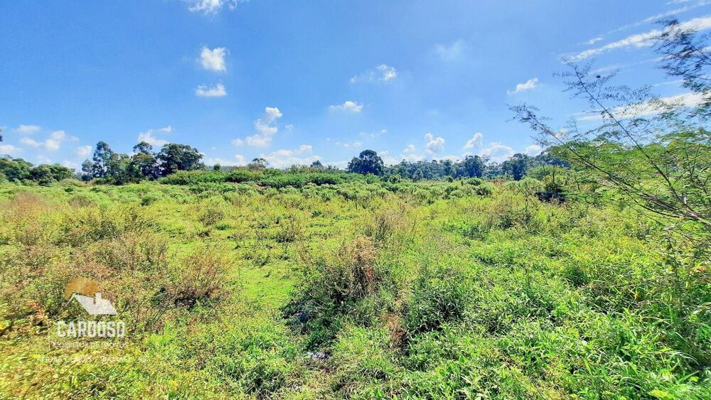 Sítio à venda, 25000M2 - Foto 10