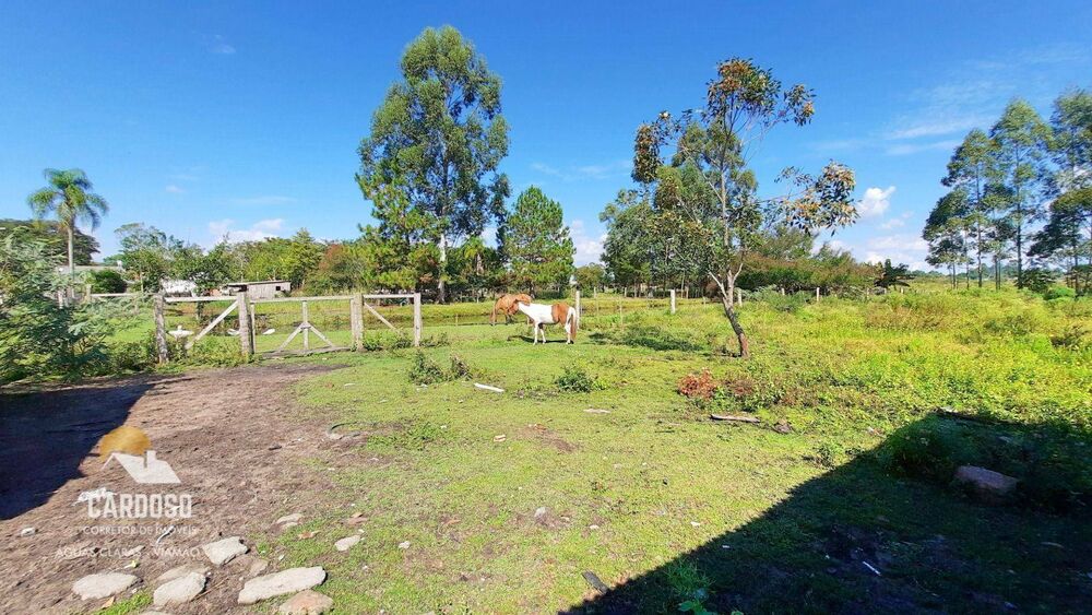 Sítio à venda, 25000M2 - Foto 4