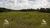 Sítio, 3 hectares - Foto 3