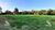 Sítio, 3 hectares - Foto 1