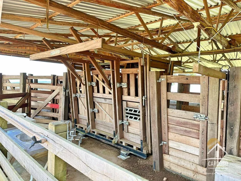 Fazenda, 107 hectares - Foto 7