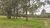 Sítio, 10 hectares - Foto 4