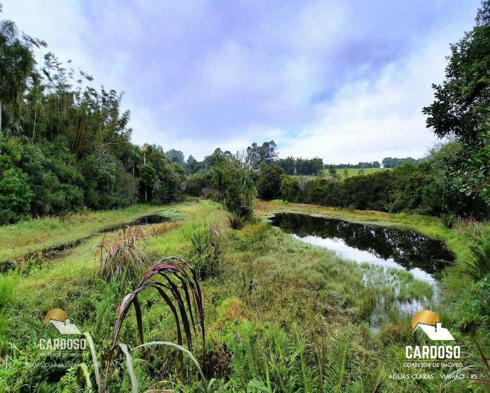 Sítio, 13 hectares - Foto 12