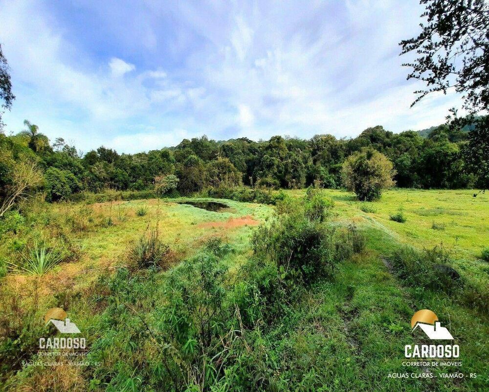 Sítio, 13 hectares - Foto 18