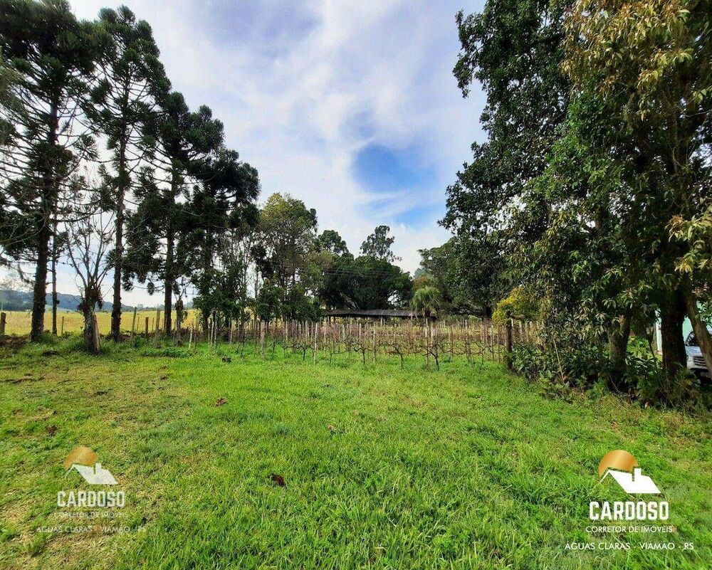 Sítio, 13 hectares - Foto 21