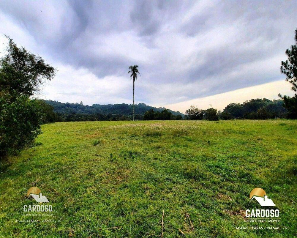 Sítio, 13 hectares - Foto 14