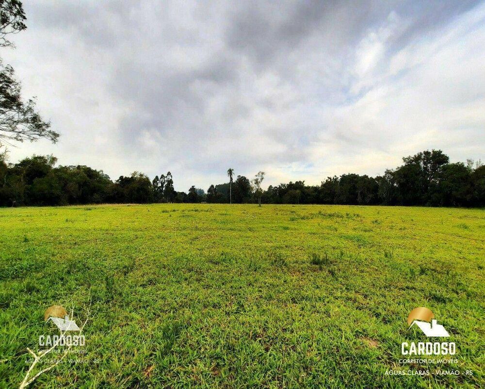 Sítio, 13 hectares - Foto 15