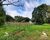 Sítio, 13 hectares - Foto 4