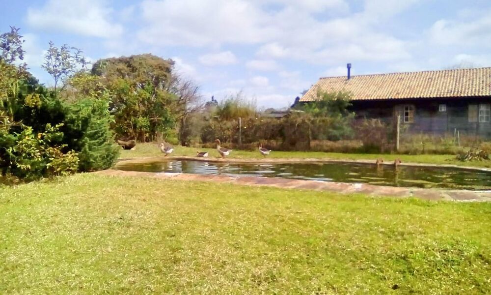 Sítio à venda, 30000M2 - Foto 3