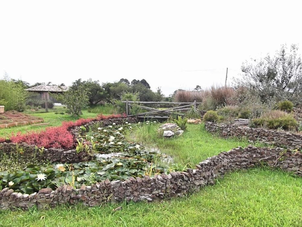 Sítio à venda, 30000M2 - Foto 2