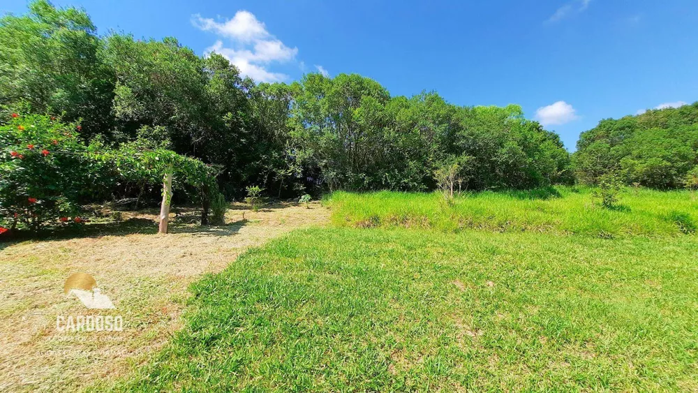 Sítio, 18 hectares - Foto 10