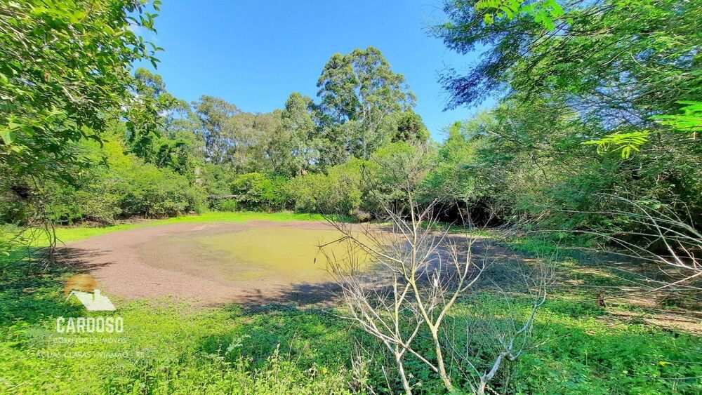 Sítio, 18 hectares - Foto 7